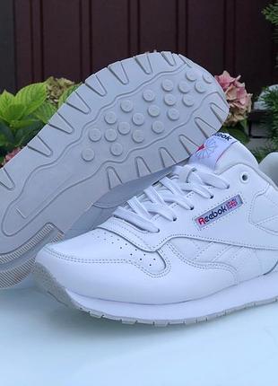 Кроссовки женские reebok classic
