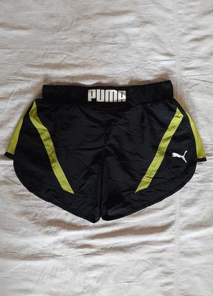Puma(оригинал) спортивные трусы,шорты