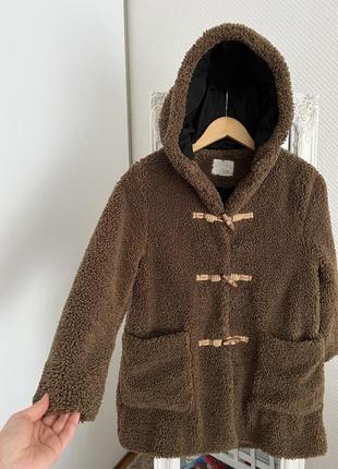 Эко шуба тедди. шубка демисезон тедди zara. teddy шуба