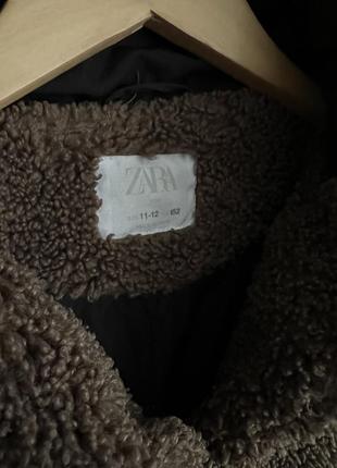 Эко шуба тедди. шубка демисезон тедди zara. teddy шуба2 фото
