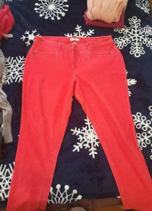 Штани жіночі