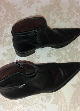 Стильные кожаные челси ботинки ботильоны caffe venezia р. 38 ( 24 см)