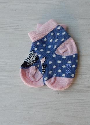 Якісні шкарпетки в горошок для малюків tchibo 16-18р