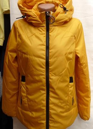 Жіноча демісезонна куртка s, m, l, xl, 2xl - 1632 фото