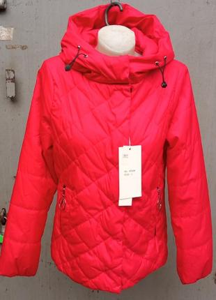 Жіноча демісезонна куртка s, m, l, xl, 2xl - 1643 фото