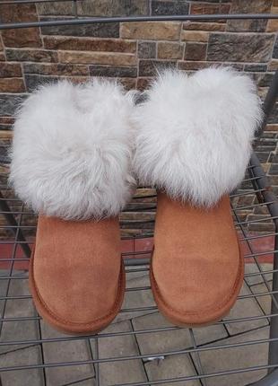 Ugg сапоги