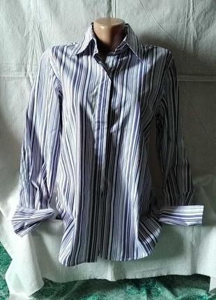 Сорочка блуза смуга2 фото