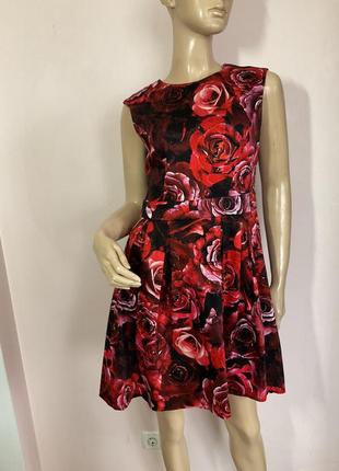 Бавовняне плаття в квіти /m- l/ brend dorothy perkins