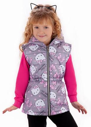 Безрукавка, жилетка, жилет