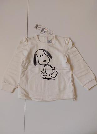 Брендовая кофта свитшот итальялия