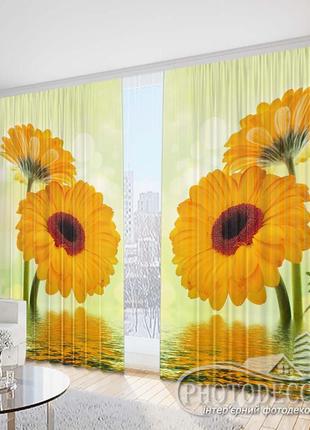Фото шторы "желтые герберы над водой" - любой размер. читаем описание!
