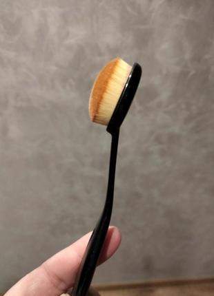 Спондж2 фото