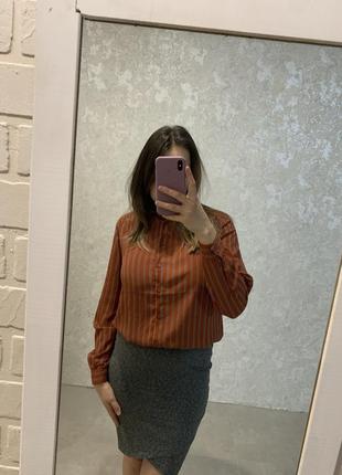 Блуза в смужку