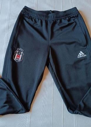 Чоловічі спортивні штани adidas bjk climacool р.s