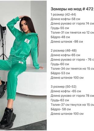 Женский прогулочный велюровый костюм осень ( худи+ штаны ) № 55710 фото