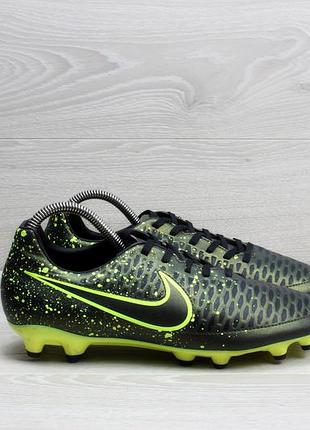 magista 41