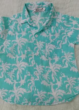 Літня сорочка з коротким рукавом на 3-4роки.