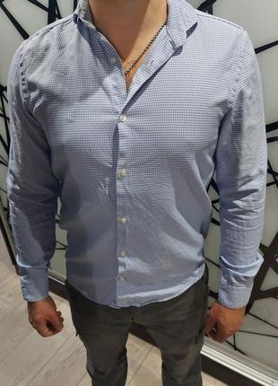 Рубашка zara regular fit  в мелкую гусиную лапку  синяя м-405 фото