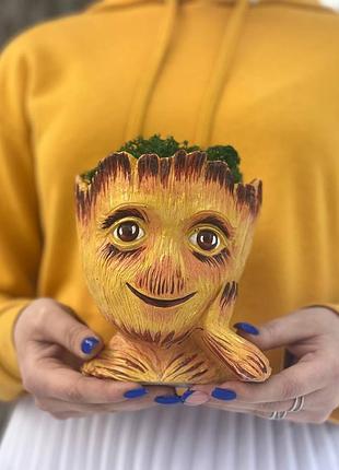 Грут, горшок для цветов, кашпо с мохом