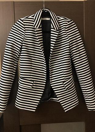 Піджак colin's