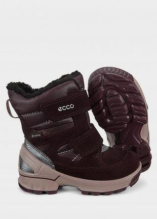 Зимние ботинкиecco biom hike infants 73359152132 gore-tex размер 26,27,292 фото