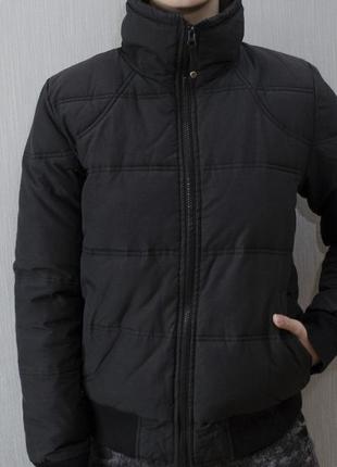 Весняно-осіння курточка без капюшона на синтепоні