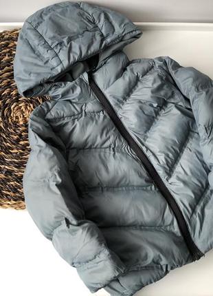 Куртка zara демисезонная 2-3 года 98 см демисезонная весенняя осенняя куртка