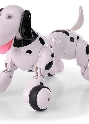 Робот собака на радиоуправлінні happy cow smart dog (чорний)2 фото
