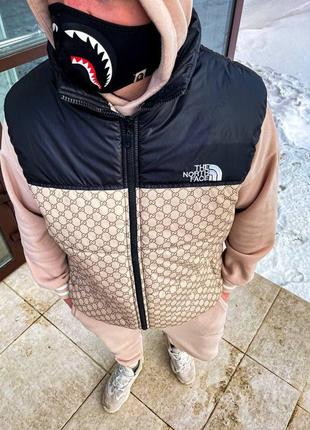 Жилет tnf