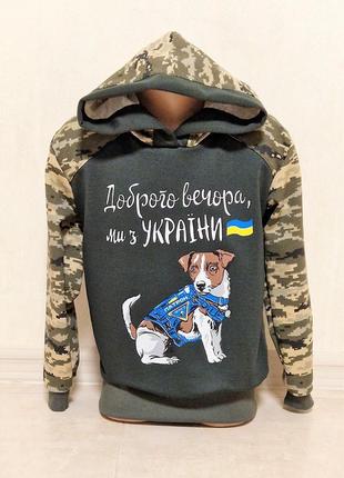 Худи весеннее для мальчика "пес патрон" 6162
