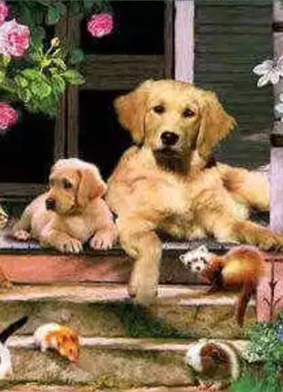 Алмазная вышивка " веселая компания зверей" ,влюбленная пара,полная выкладка ,мозаика 5d, наборы 30х40 см