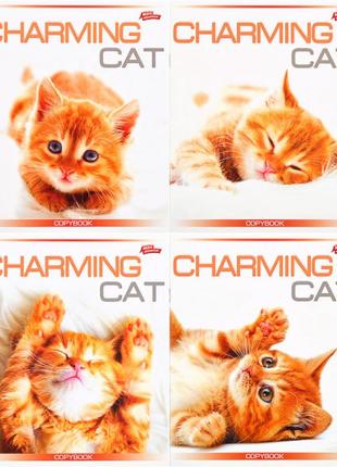 Зошит шкільний мрії збуваються 48арк в клітинку арт. 2683к