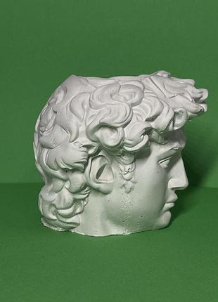 Кашпо дивод/голова давида/гипсовый козырь 2