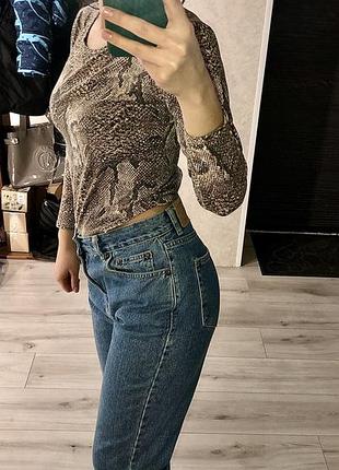 Боди