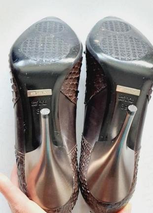 Туфлі класика шпилька шкіра лодочки shy італія