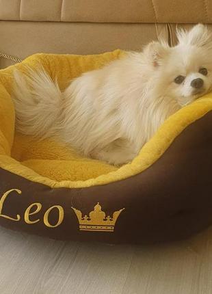 Лежак ліжечко для собак і котів з ім'ям високої якості. є багато кольорів і розмірів.4 фото