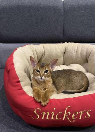 Лежак кроватка для собак і котів з ім'ям високої якості.багато кольорів і розмірів.