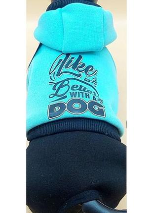 Костюм трикотажний для котів та собак "лаки" (25см х 31-40см)2 фото