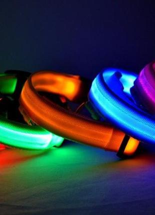 Ошейник с led подсветкой черный pets collar xs8 фото