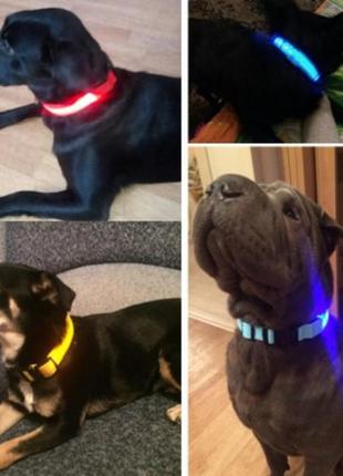 Нашийник з led підсвічуванням чорний pets collar xs2 фото