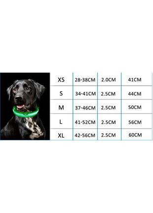 Ошейник с led подсветкой черный pets collar xs7 фото