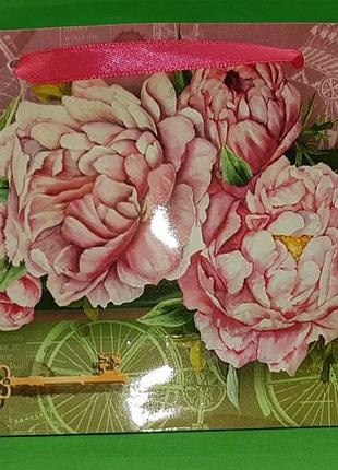 Пакет паперовий малий горизонтальний 11/18/5 (арт м001) (12 шт.)