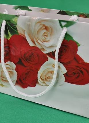 Пакет бумажный малый горизонтальный 11/18/5(арт м010) (12 шт)