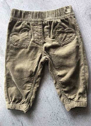 Джогери вільветові lupilu