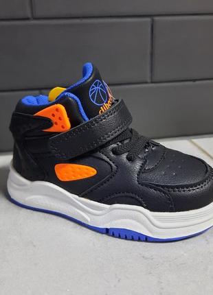 Хайтопи тм clibee