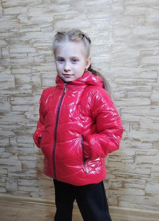 Дитяча демісезонна курточка