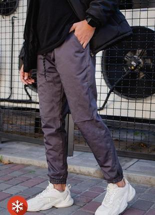 Мужские теплые штаны джогери without l серые