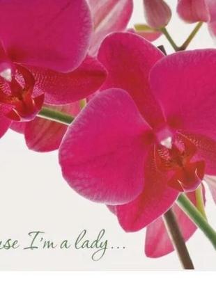 Папка "leo" 30 файлов a4 "because i am a lady" орхидея.