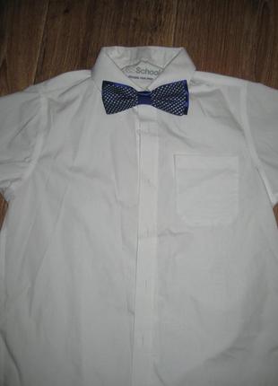 Бабочка галстук для мальчика , рубашка с коротким длинным рукавом, краватка, метелик.3 фото