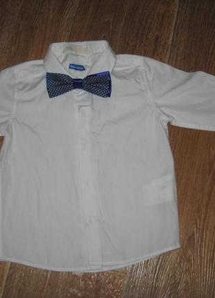 Бабочка галстук для мальчика , рубашка с коротким длинным рукавом, краватка, метелик.5 фото